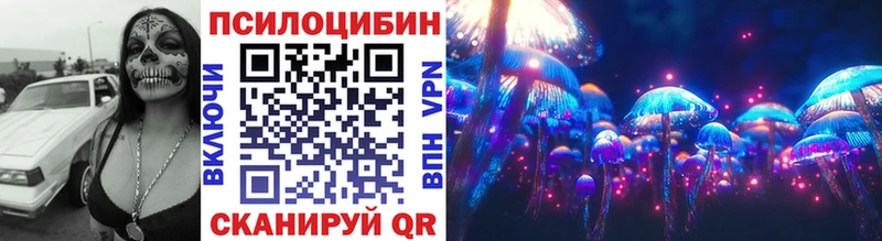 Псилоцибиновые грибы Cubensis Дрезна